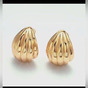 Gold Shell Earrings